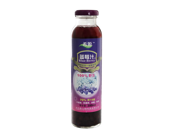 300ml Glass bottle aloe vera juice drink